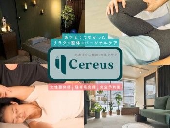 もみほぐし整体×セルフケア Cereus-セレウス-