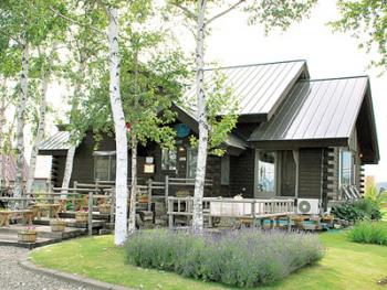 木のいいなかま