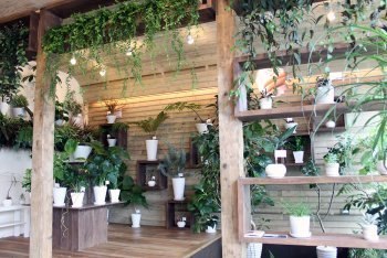 And Green アンドグリーン