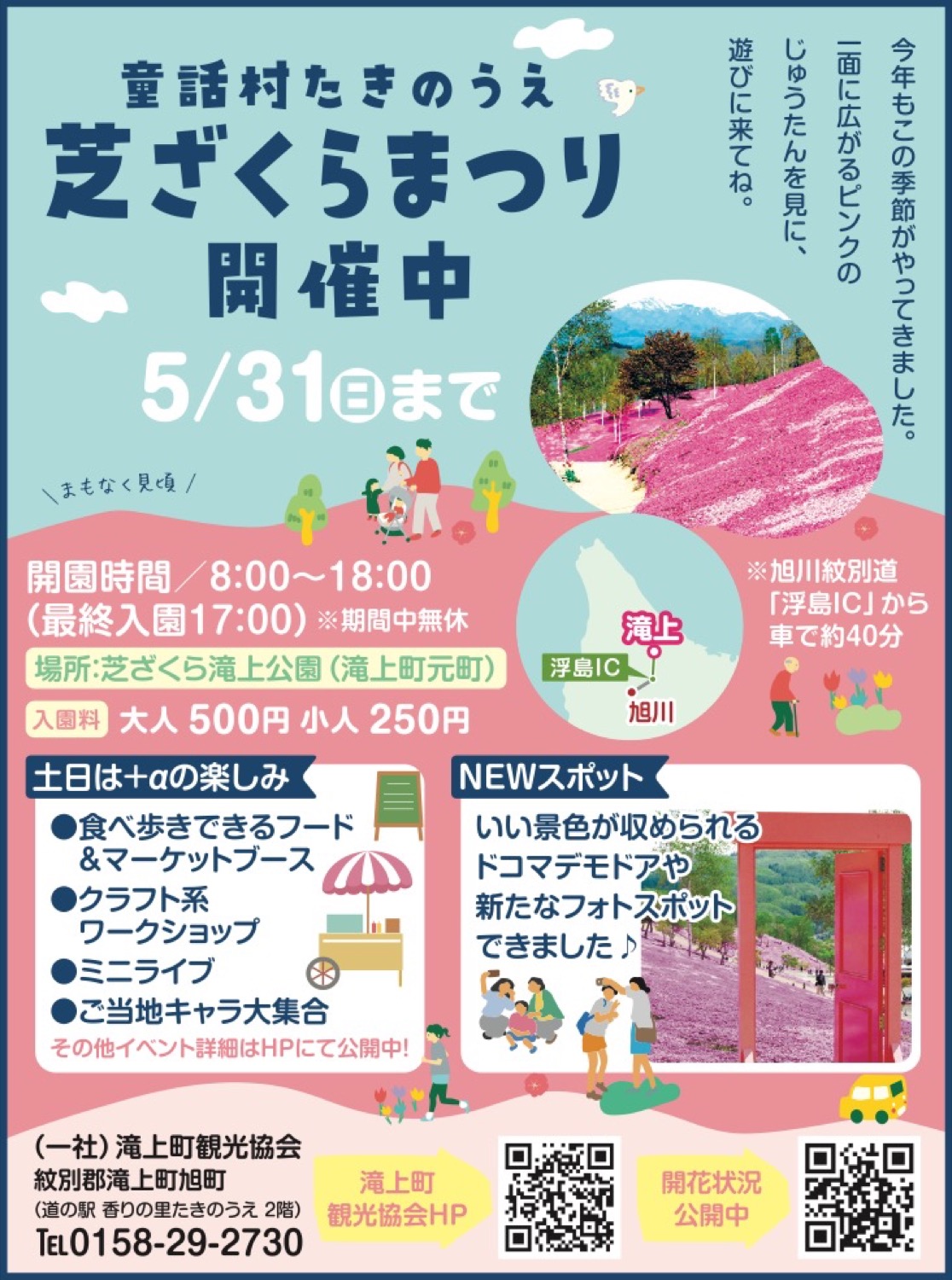 芝ぎくらまつり