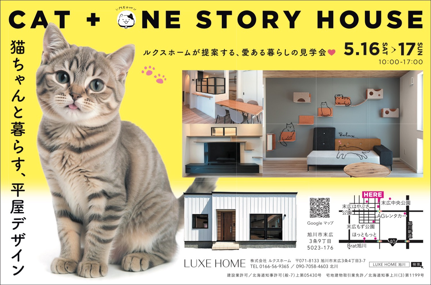 CAT + ONE STORY HOUSE