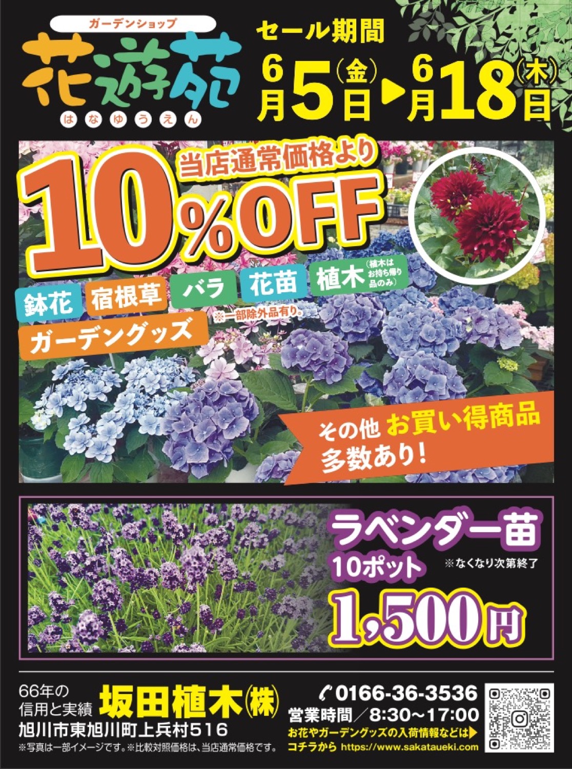 当店通常価格より10%0FF
