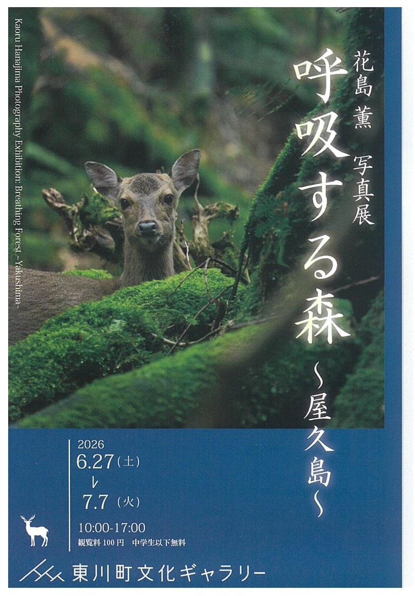 花島 薫　写真展　呼吸する森～屋久島～