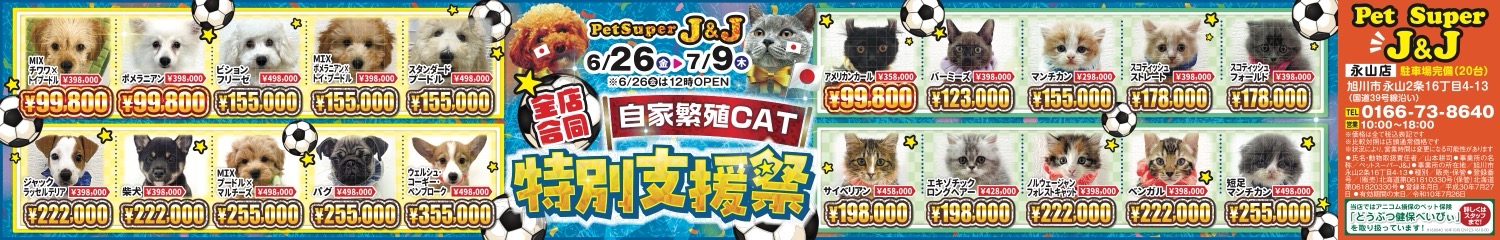 自家繁殖CAT 特別支援祭