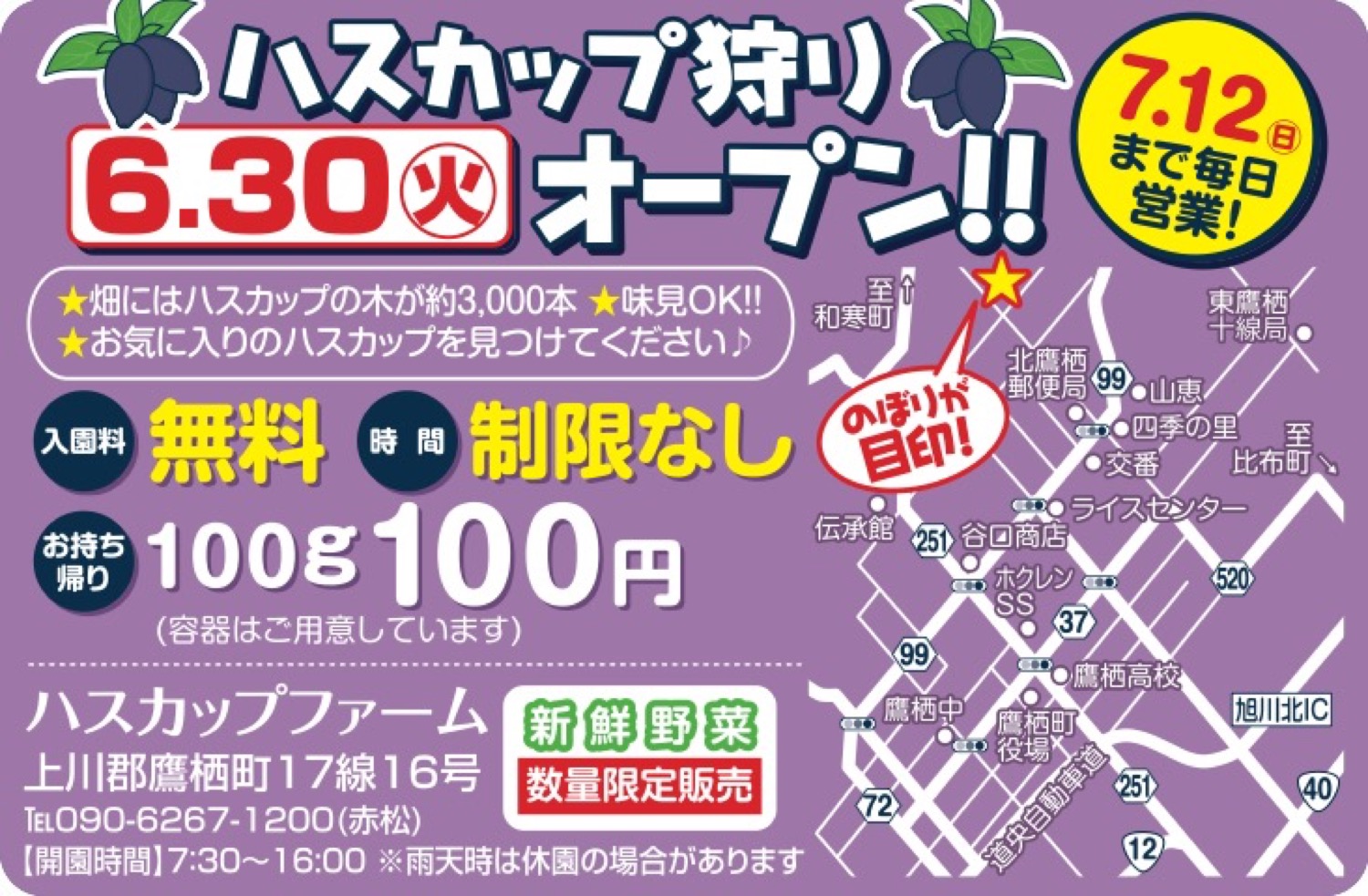 ハスカップ狩り