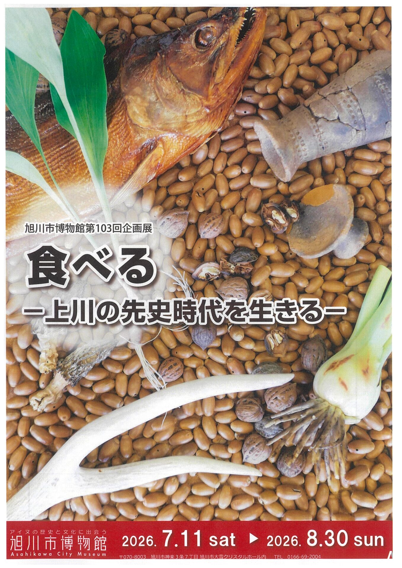 旭川市博物館第103回企画展「食べる-上川の先史時代を生きる-」