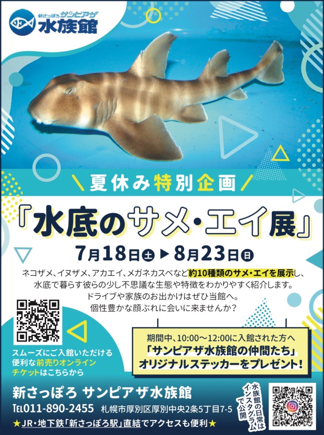［夏休み特別企画］水底のサメ・エイ展