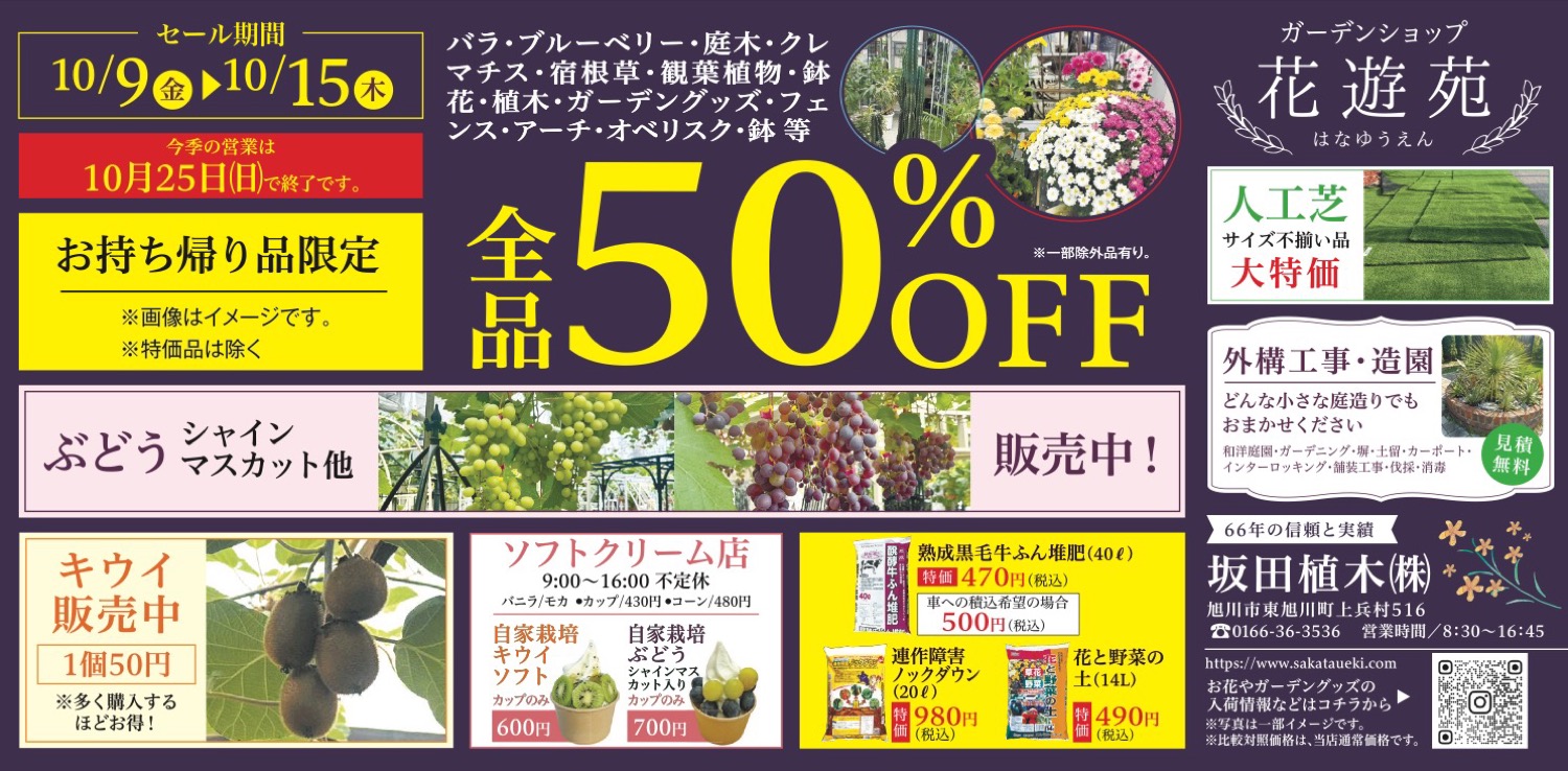 全品 50%OFF　セール