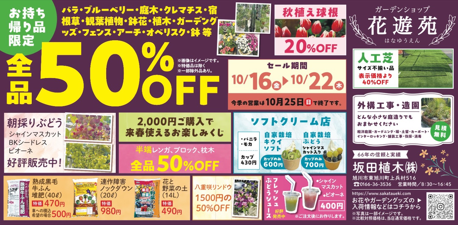 お持ち帰り品限定　全品50%OFF